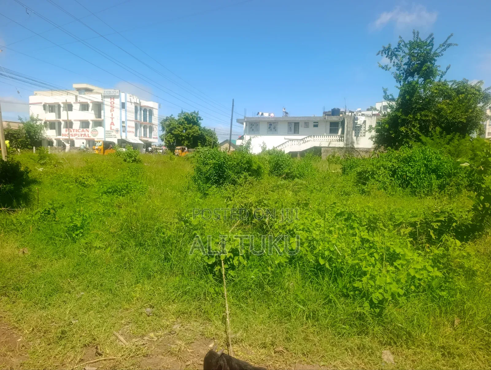 Plot for Sale