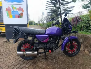Bajaj Boxer 2016 Purple