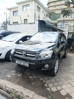 Toyota RAV4 2010 Silver