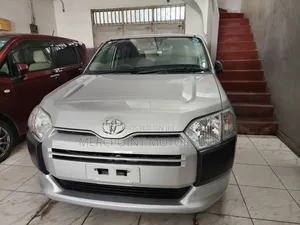 Toyota Probox 2019 Silver