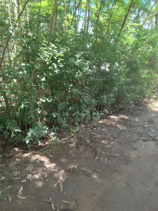 1 Acre of Land for Sale in Matunda,Kakamega,Kenya