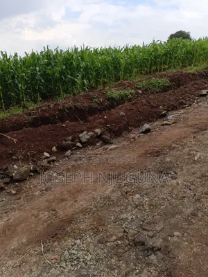 Olkarao Land