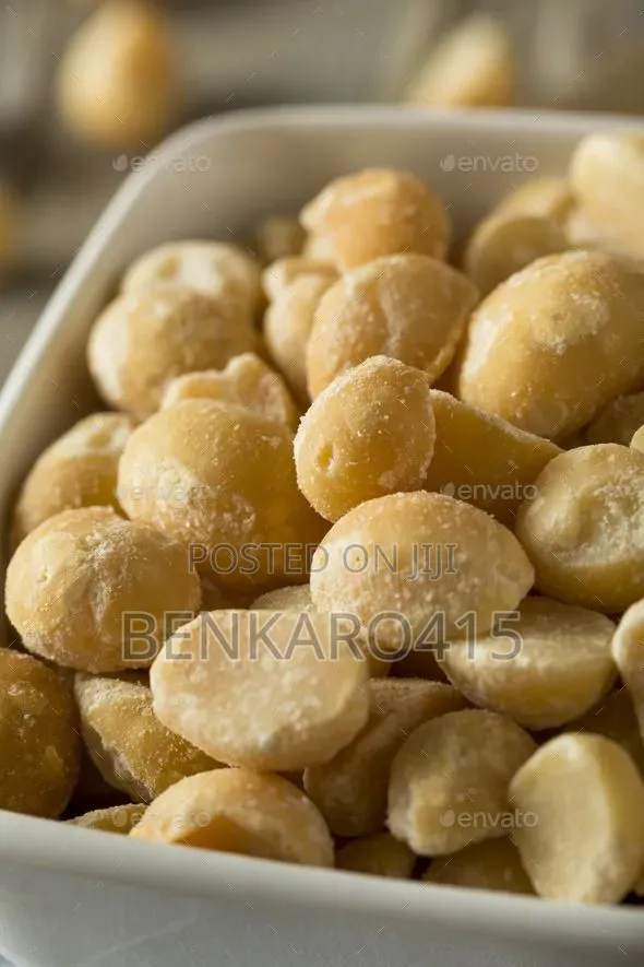 Macadamia Nuts