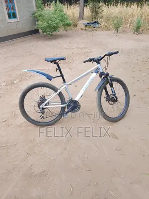 Silver Aluminum Size 24 Ex Uk Mountain Bike