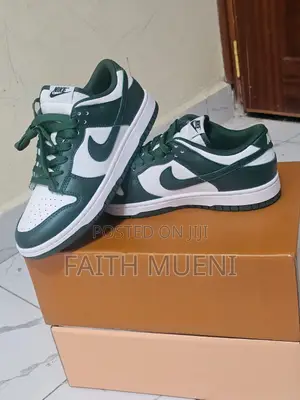 Sb Dunk Sneaker