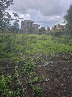 40×80 Juja Farm Mastore