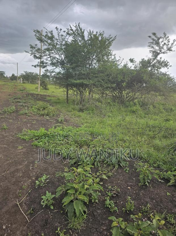 40×80 Juja Farm Mastore - thumbnail 2