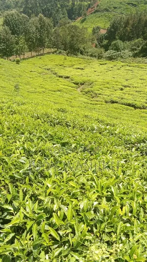 Mudoro Area 5 Acres Land a Mixed Use Land