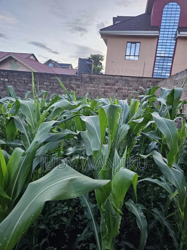 Kenyatta Road Area , Faith Estate ,40×80