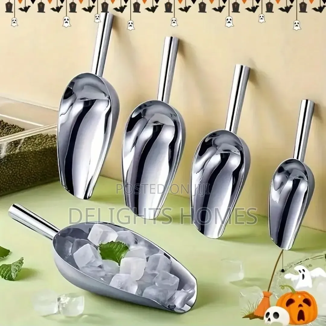 Stainless Steel Scoop-Car
