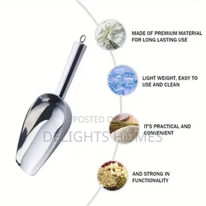 Stainless Steel Scoop-Car