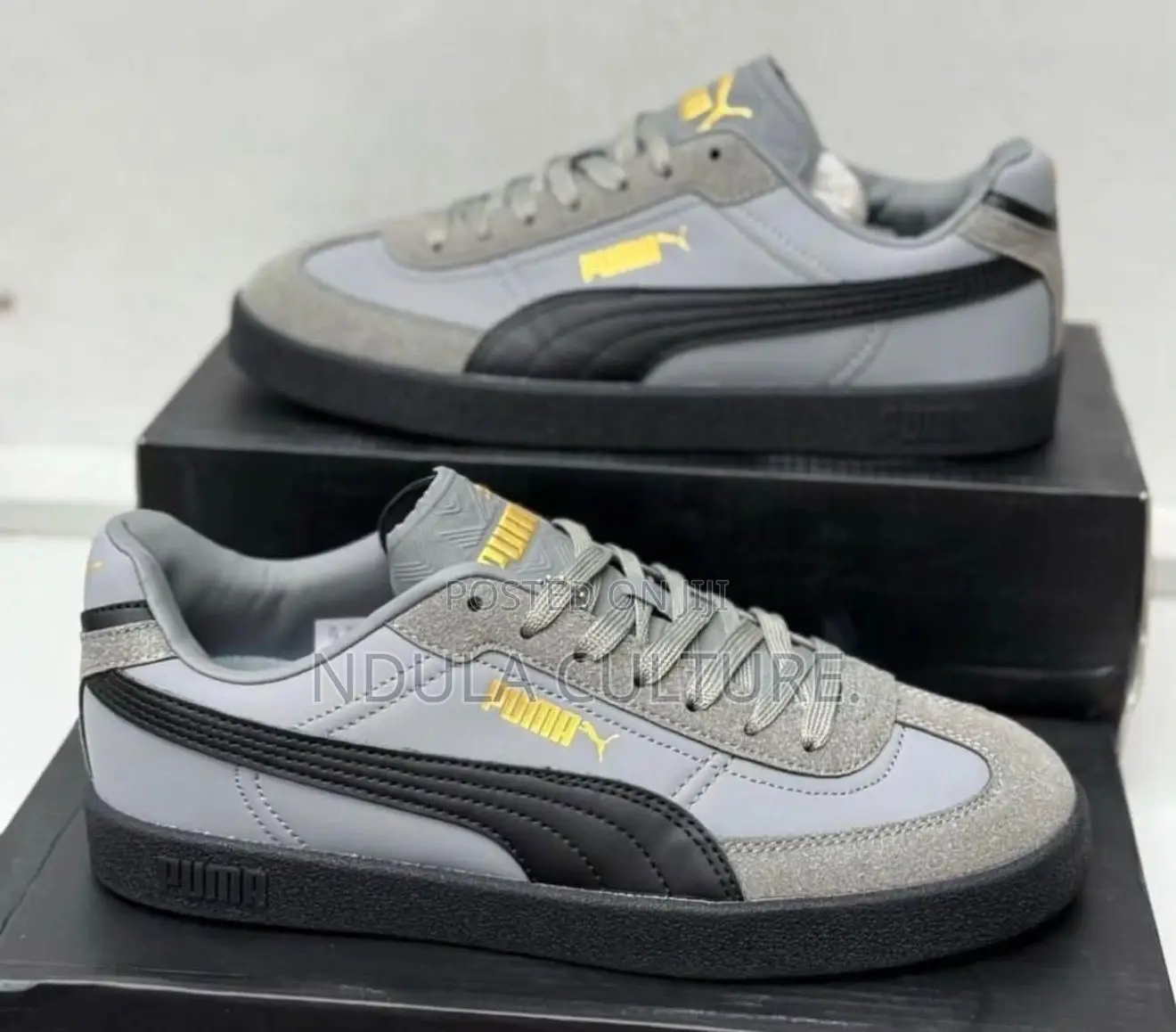 Puma Indoor Og