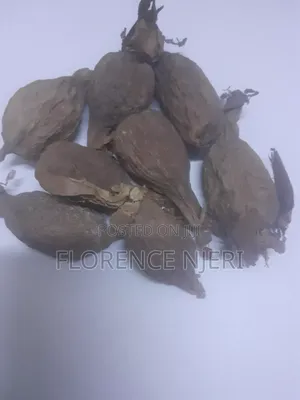 Alligator Pepper 1pc