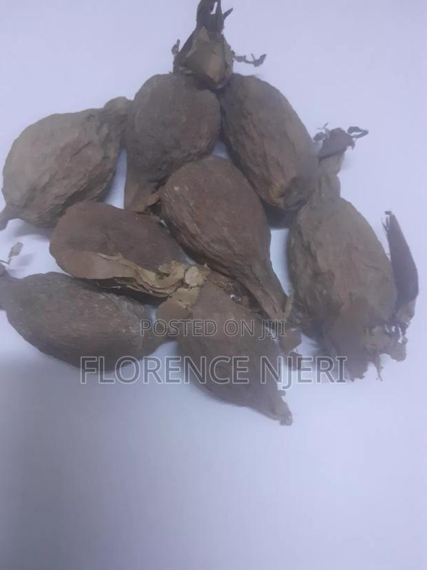 Alligator Pepper 1pc - main view