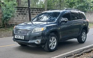 Toyota Vanguard 2009 Gray