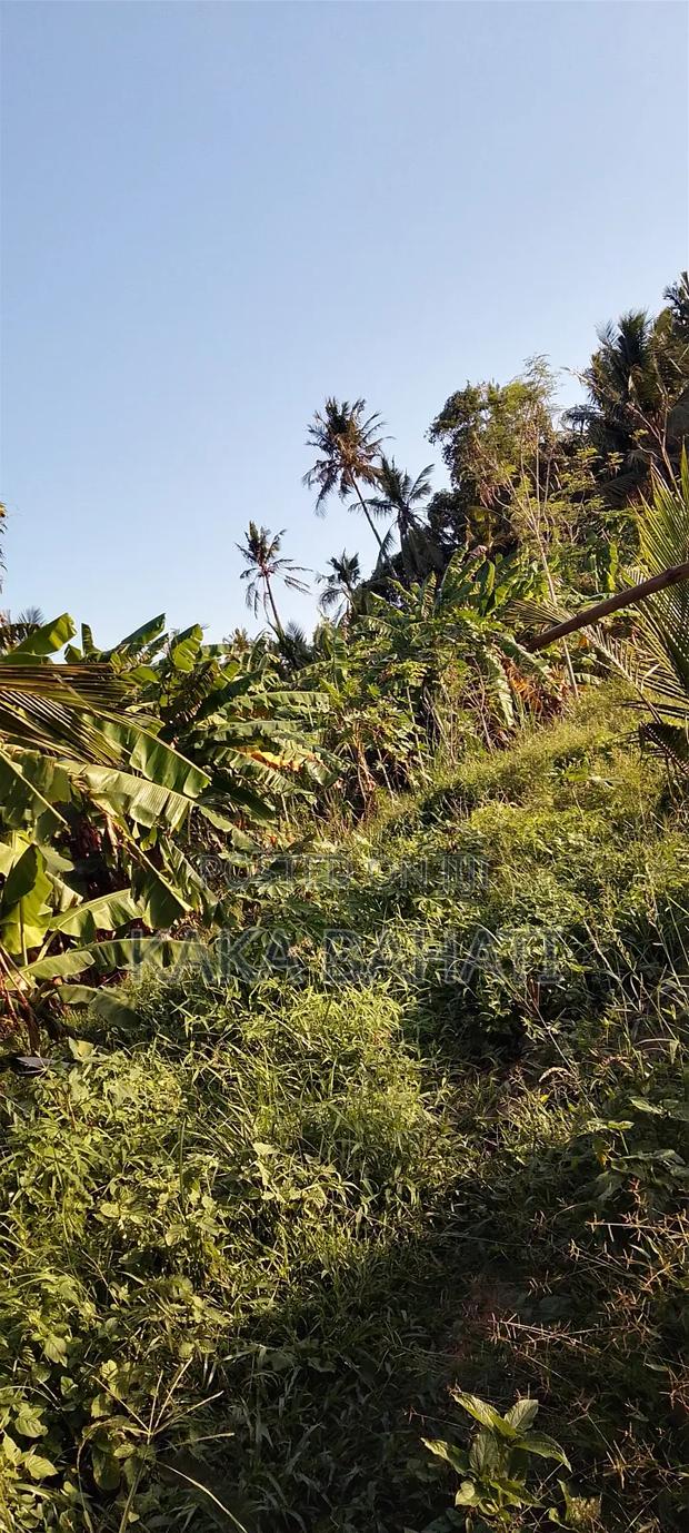 1 Acre of Land
