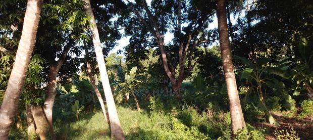 1 Acre of Land - thumbnail 3