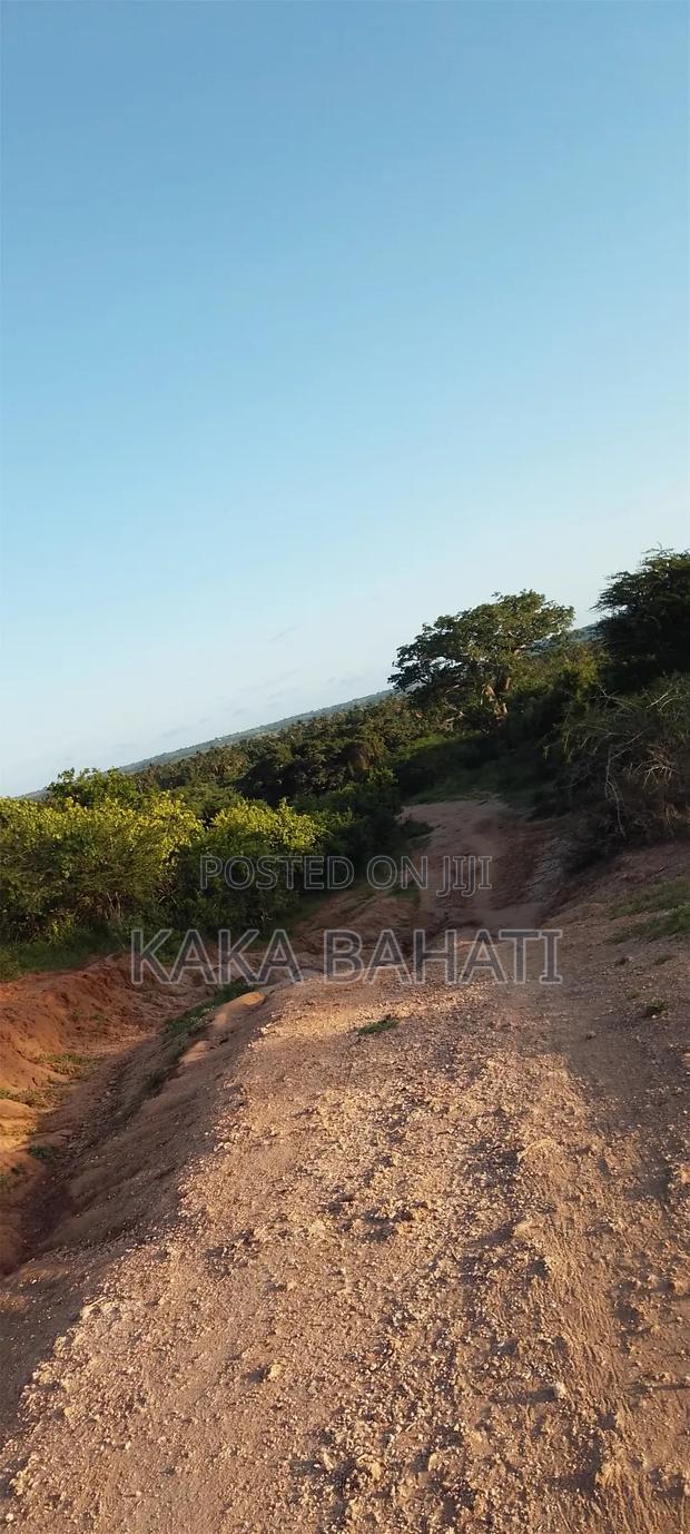 1 Acre of Land - thumbnail 4