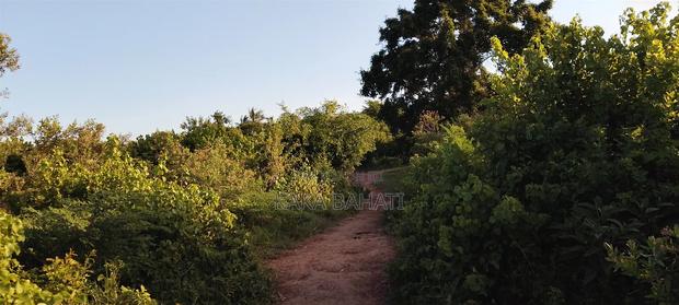 1 Acre of Land - thumbnail 5