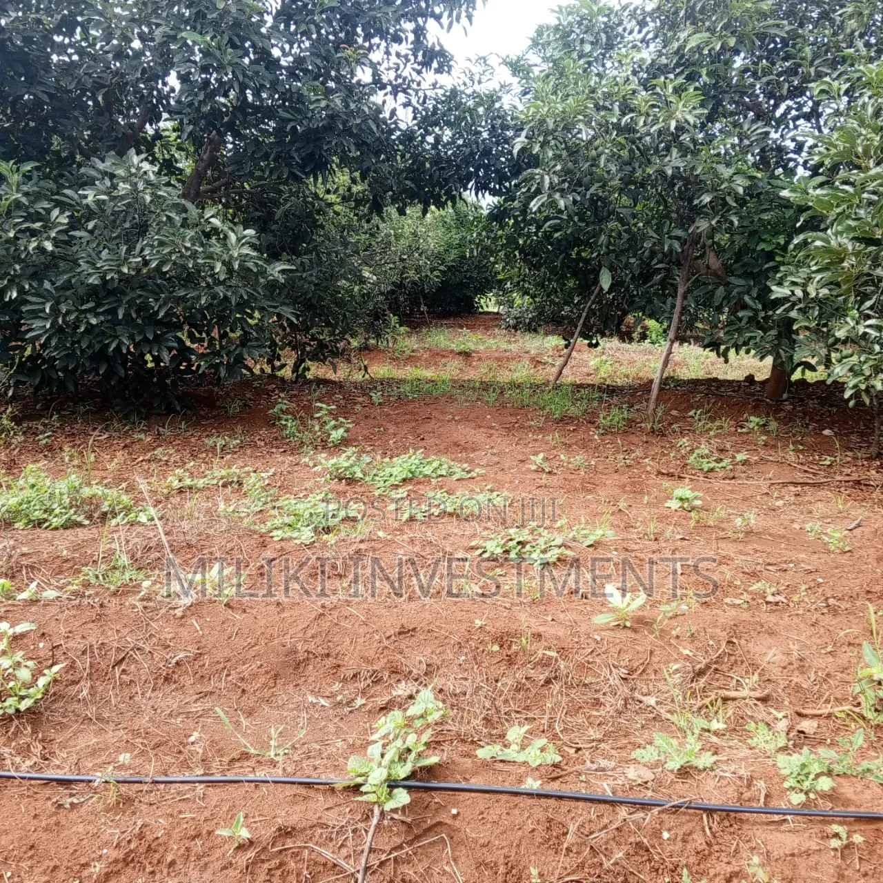 7.5 Acres on Sale at Mwea -Embu