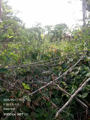 Prime 4.5 Acres on Sale at Kwa Vonza Kitui County