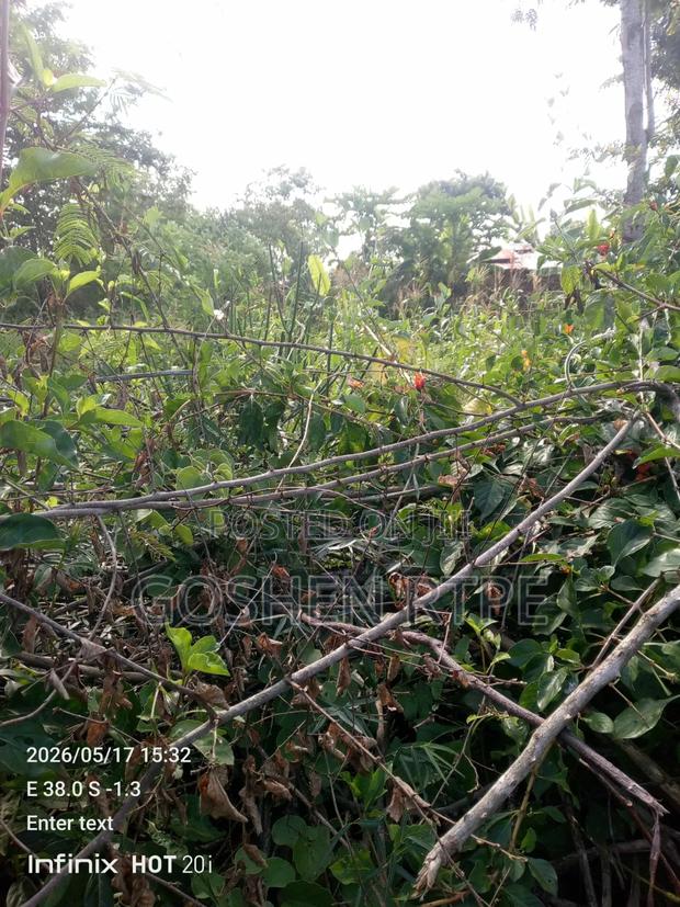 Prime 4.5 Acres on Sale at Kwa Vonza Kitui County