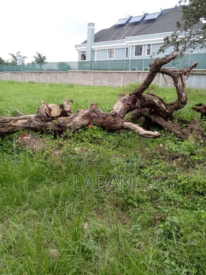Runda Mumwe 1/2 Acre
