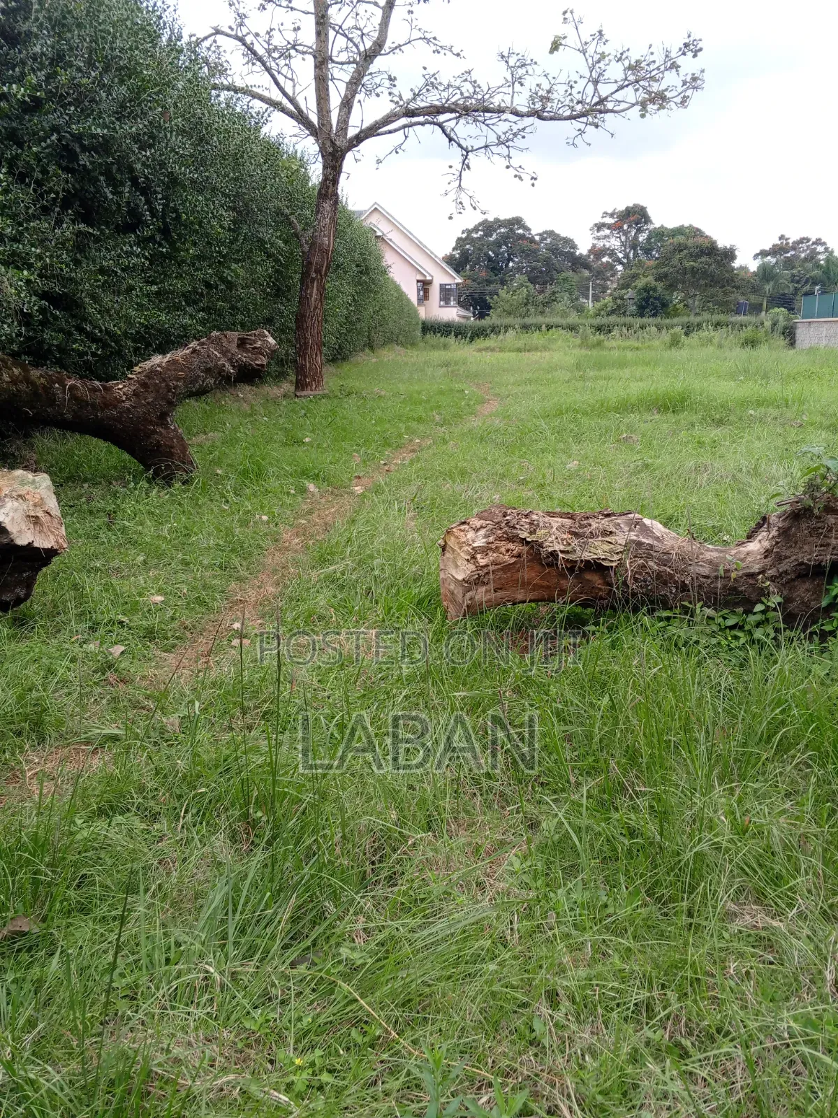 Runda Mumwe 1/2 Acre