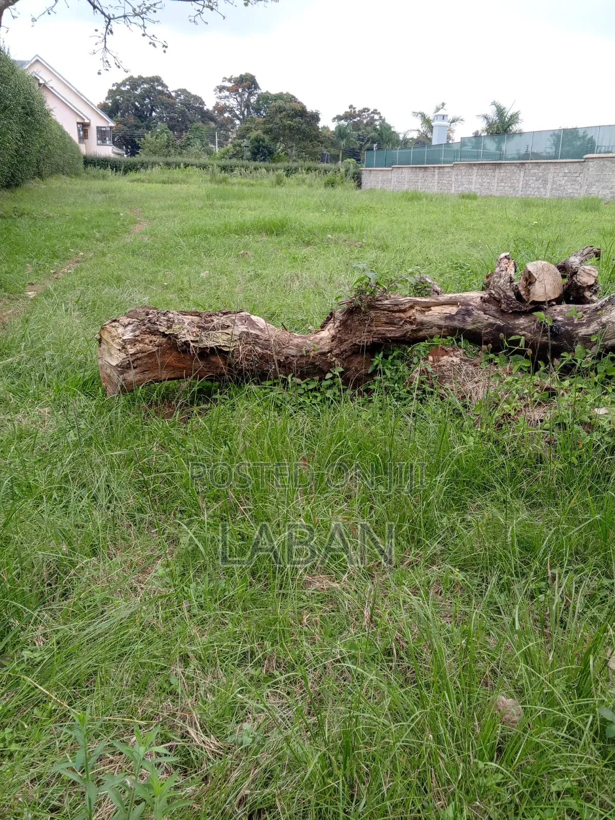 Runda Mumwe 1/2 Acre