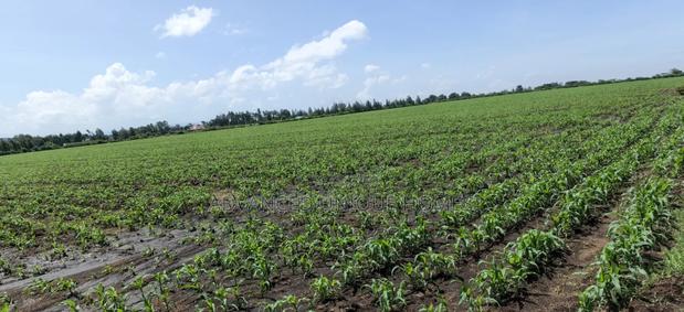 50 Acres Prime Land for Sale in Kabarak Area Nakuru