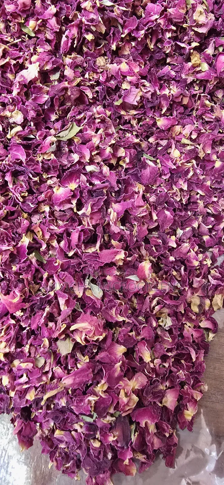Dry Rose Petals