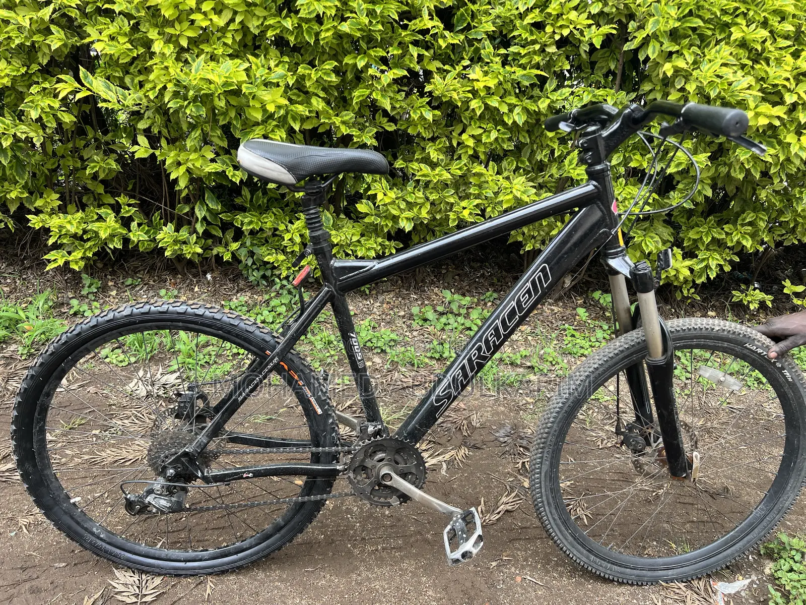 Mountain Bike