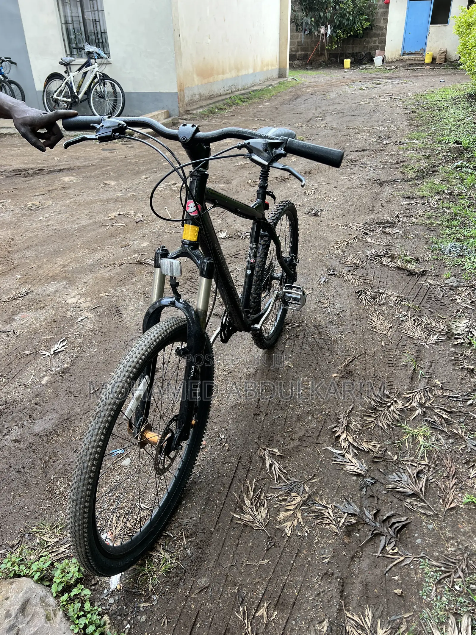 Mountain Bike