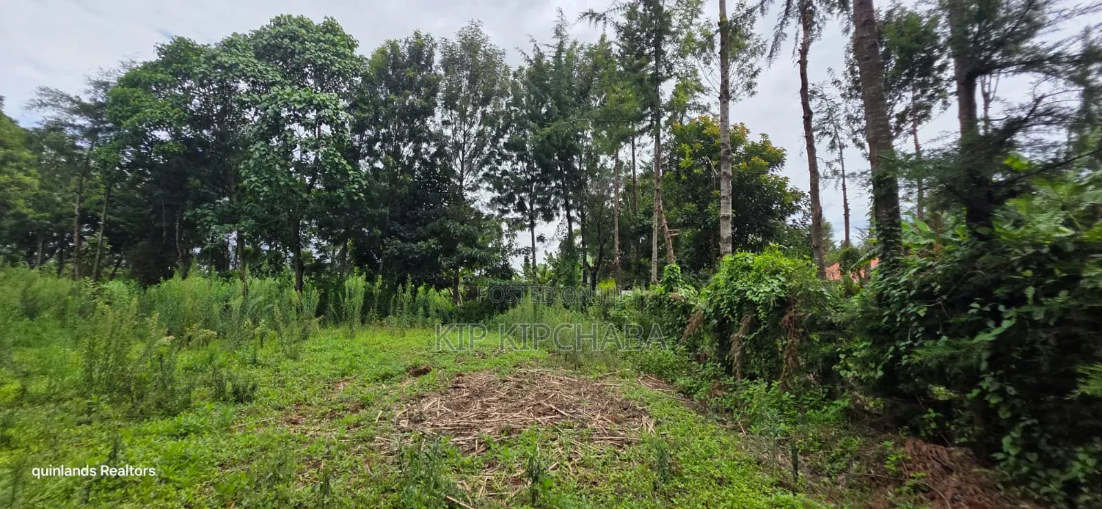 Prime 3 Plots for Sale in Kapseret Kericho Ndogo Eldoret