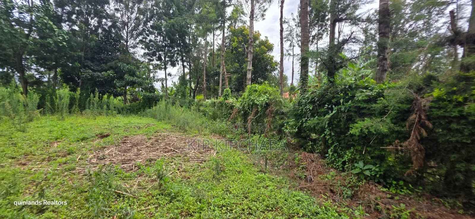 Prime 3 Plots for Sale in Kapseret Kericho Ndogo Eldoret
