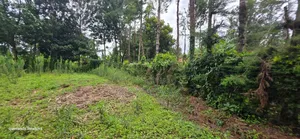 Prime 3 Plots for Sale in Kapseret Kericho Ndogo Eldoret