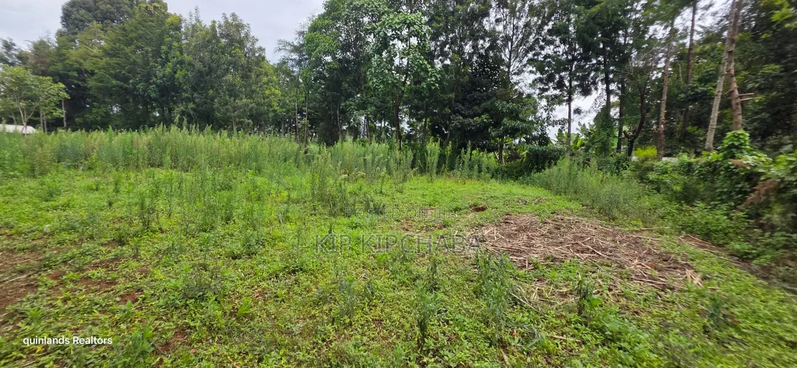 Prime 3 Plots for Sale in Kapseret Kericho Ndogo Eldoret