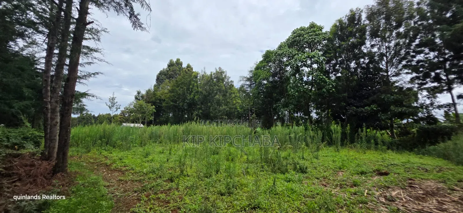 Prime 3 Plots for Sale in Kapseret Kericho Ndogo Eldoret