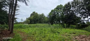 Prime 3 Plots for Sale in Kapseret Kericho Ndogo Eldoret