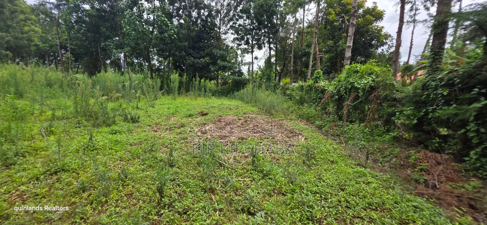 Prime 3 Plots for Sale in Kapseret Kericho Ndogo Eldoret
