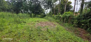 Prime 3 Plots for Sale in Kapseret Kericho Ndogo Eldoret