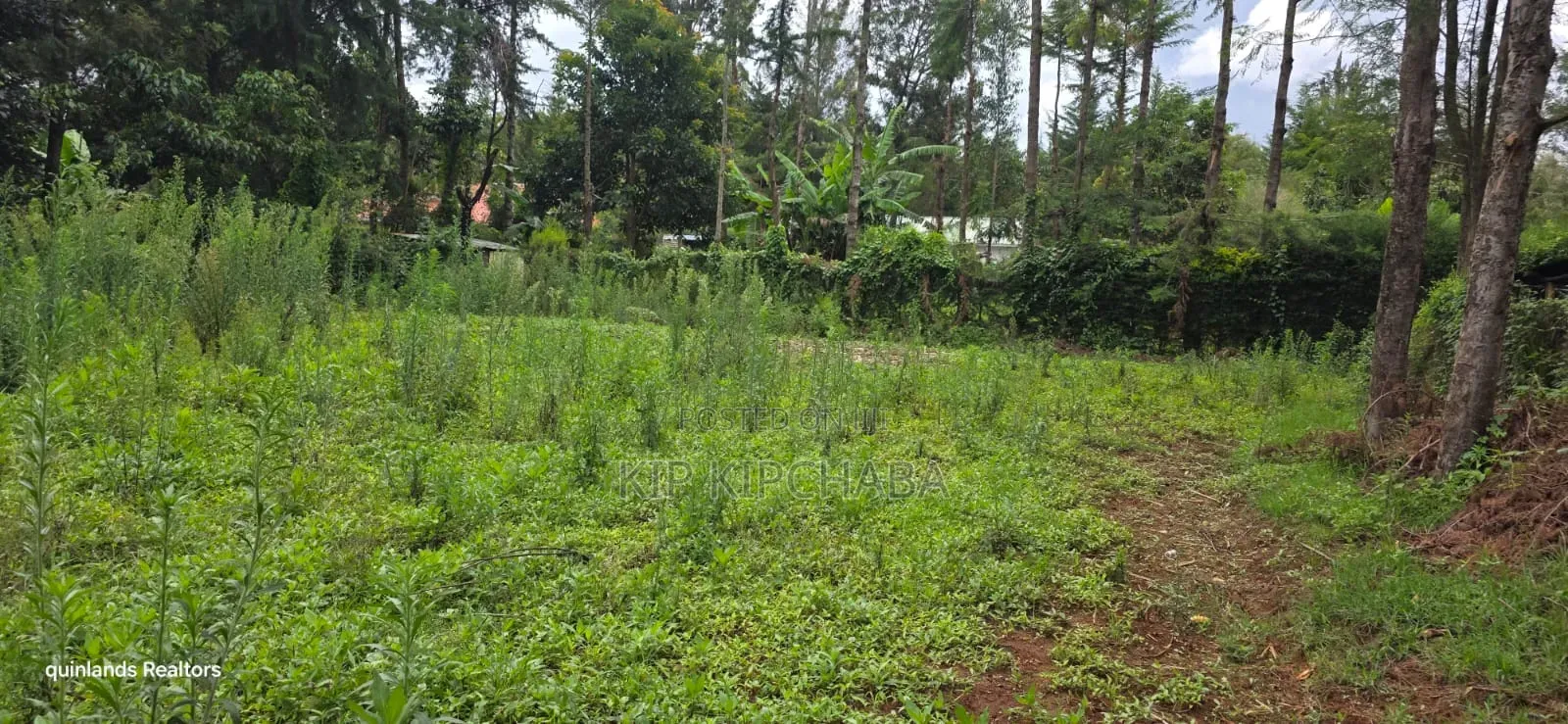 Prime 3 Plots for Sale in Kapseret Kericho Ndogo Eldoret