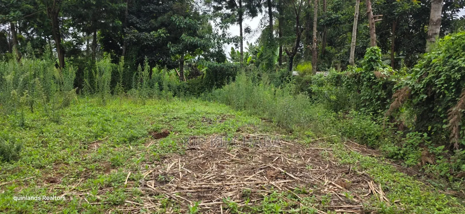 Prime 3 Plots for Sale in Kapseret Kericho Ndogo Eldoret