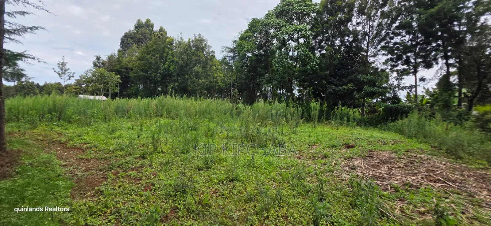 Prime 3 Plots for Sale in Kapseret Kericho Ndogo Eldoret