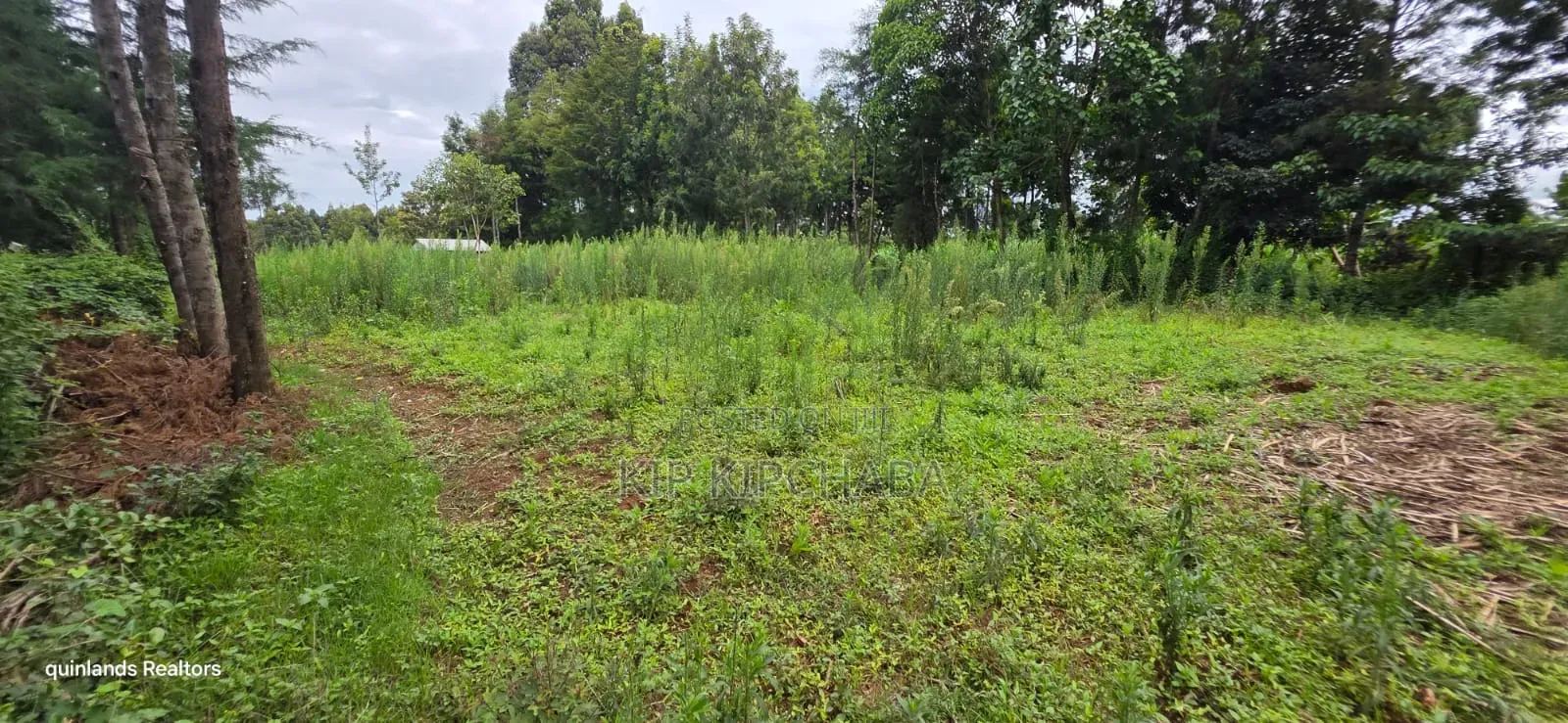 Prime 3 Plots for Sale in Kapseret Kericho Ndogo Eldoret