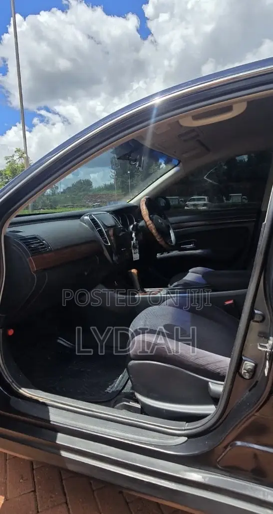 Nissan Sylphy 2010 Black