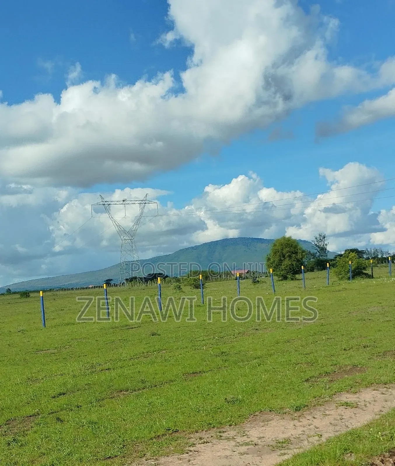 50*100 Plots in Malaa