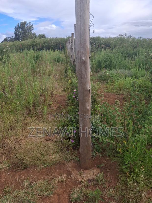 1⁄8 Acre Plots on Sale. DMM