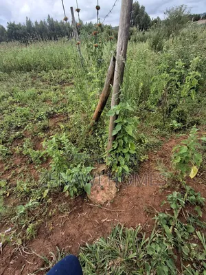1⁄8 Acre Plots on Sale. DMM