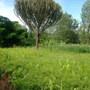 1 Acre on Sale Murang'a -Gatanga